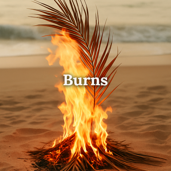A palm frond burning on the beach, representing heat-exposed or stressed skin conditions requiring cooling or soothing care with text reading ‘Burns'.