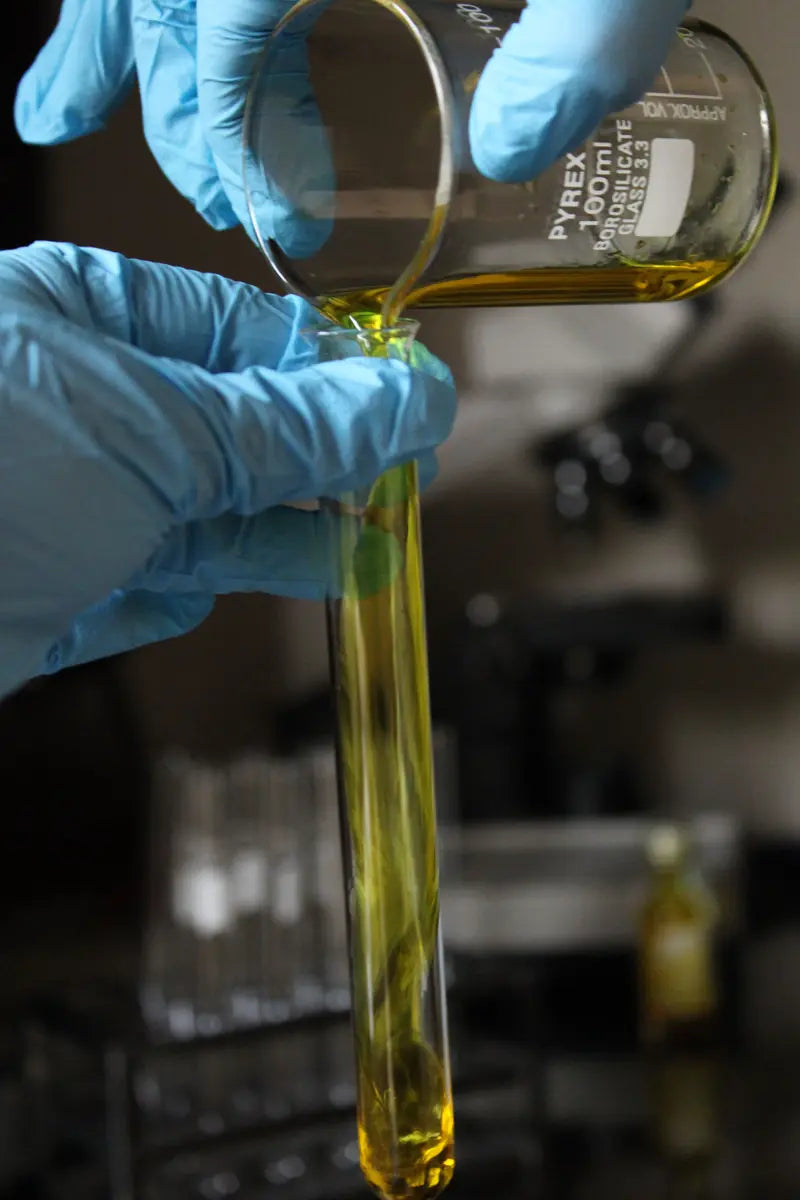 Gloved hands pouring a golden extract into a test tube