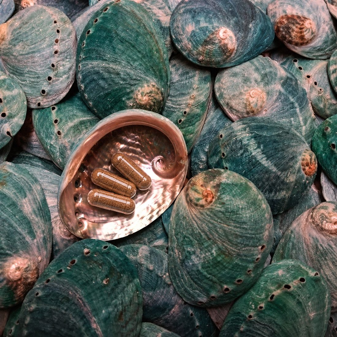 Three Natural Marine Extract Capsules resting in an abalone shell.