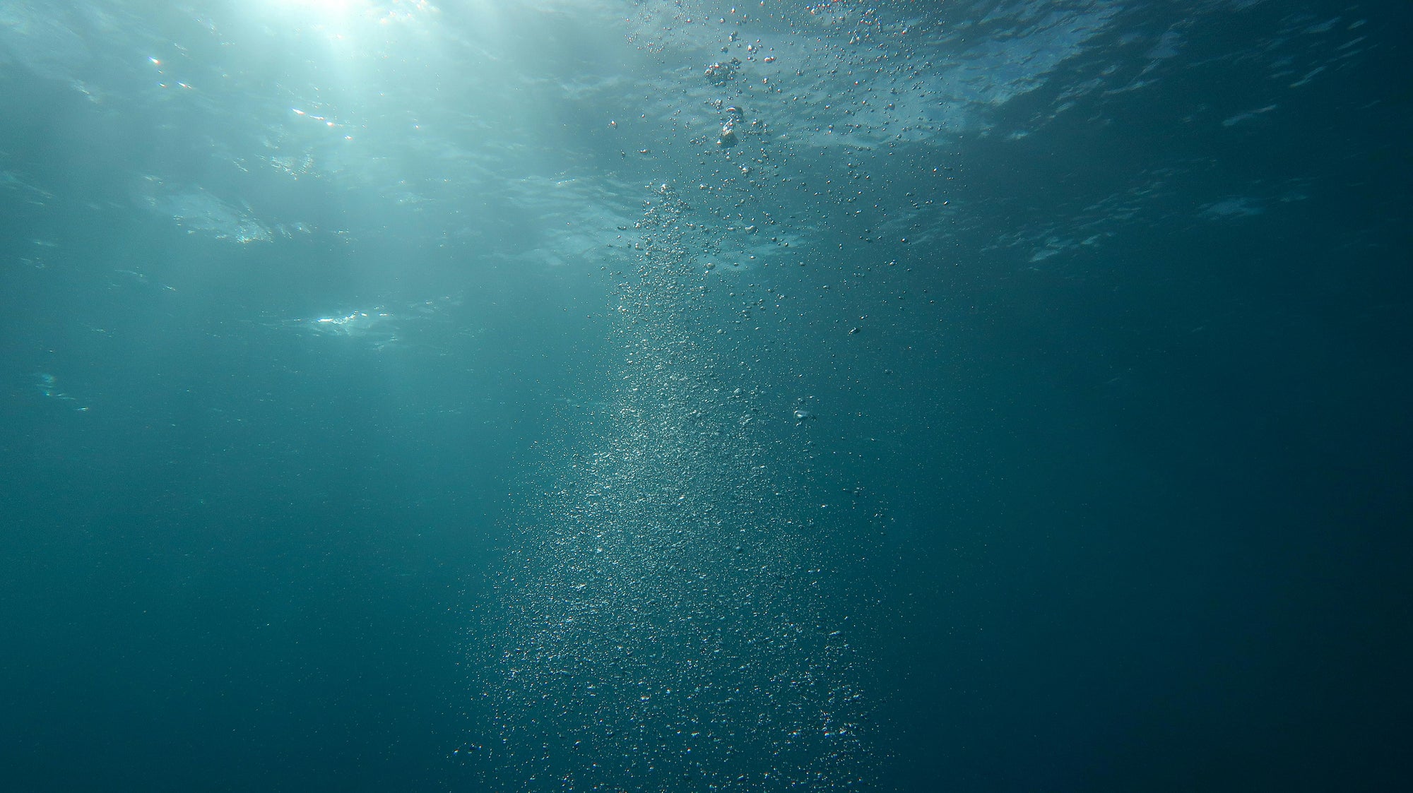Underwater view with sunlight filtering through the water surface